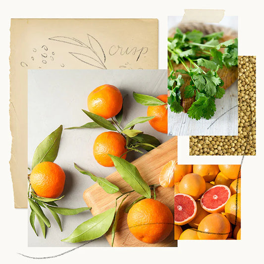 Thymes Mandarin Coriander Statement Poured Candle