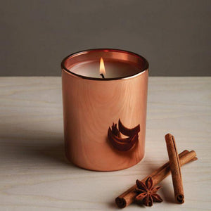 Thymes Simmered Cider Poured Candle