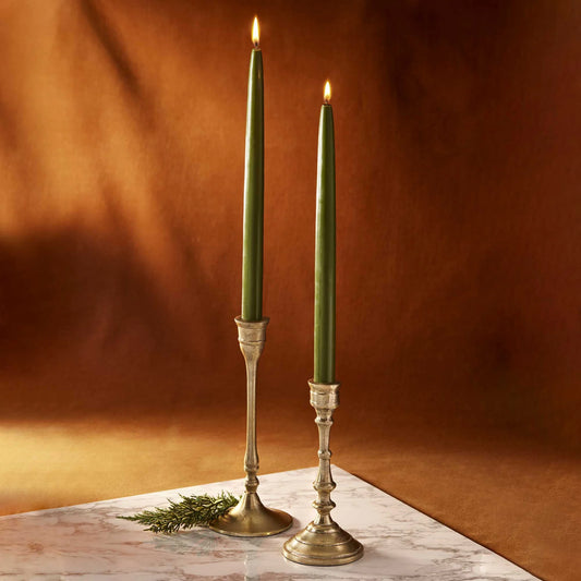 Thymes Frasier Fir 12" Taper Candles