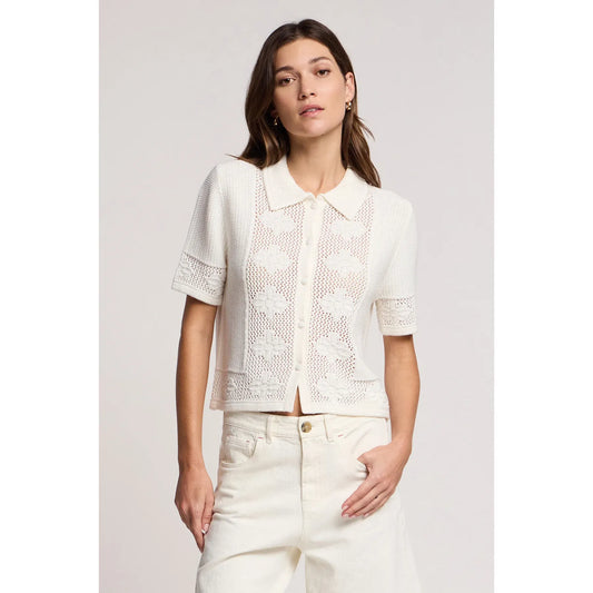 Velvet by Graham & Spencer Rosemond Cardigan in Milk