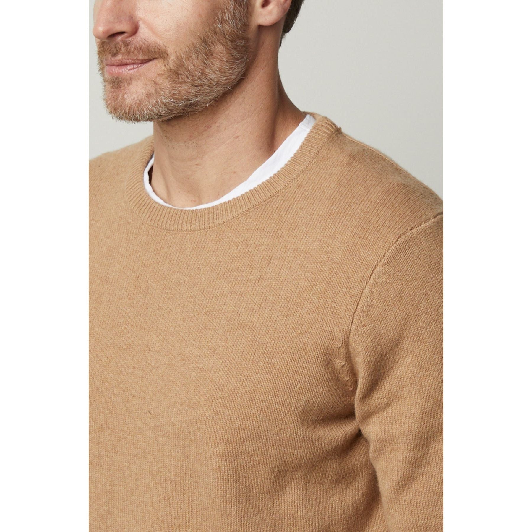 Velvetmen Dashell Wool Blend Crew Neck Sweater in Camel